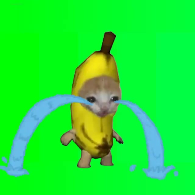 香蕉貓 哭哭 綠幕